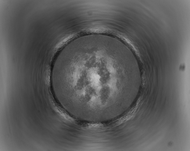 X0000098170446200804241159