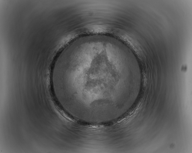 X0000098170447200804241159