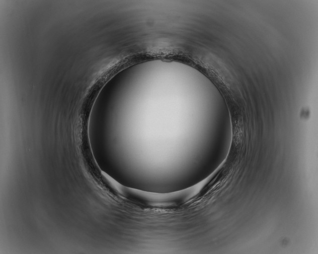 X0000098170448200804241159