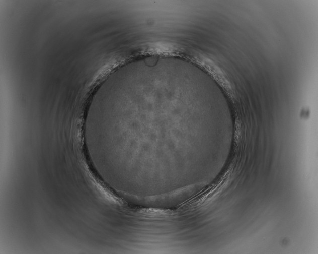 X0000098170449200804241159