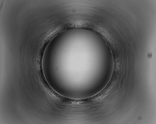 X0000098170450200804241159