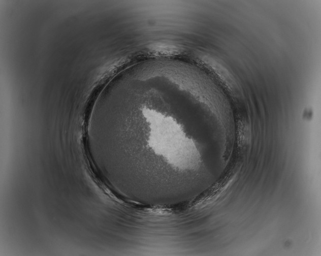 X0000098170451200804241159