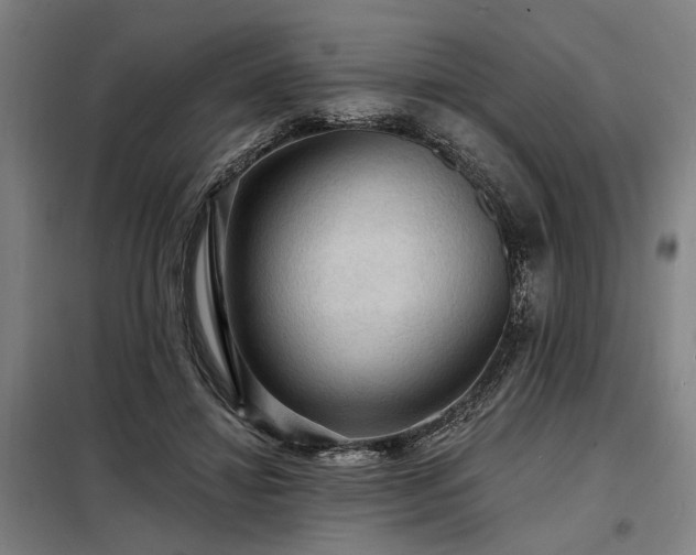 X0000098170452200804241159