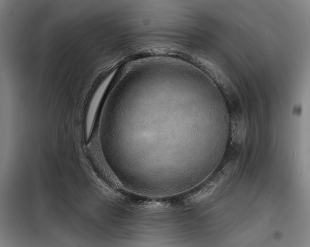 X0000098170453200804241159