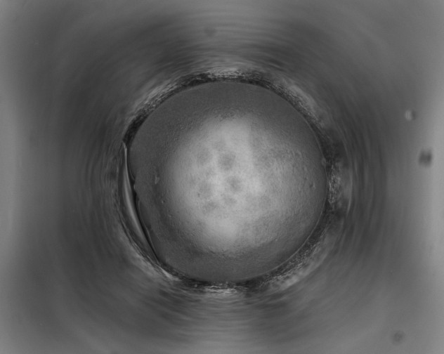 X0000098170454200804241159