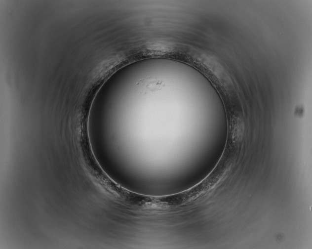 X0000098170455200804241159