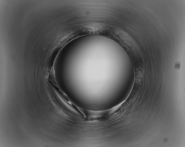 X0000098170456200804241159