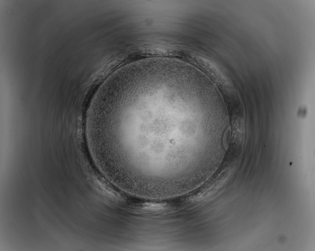 X0000098170457200804241159