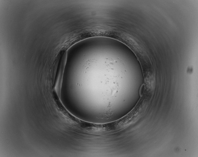 X0000098170458200804241159