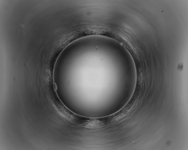 X0000098170459200804241159