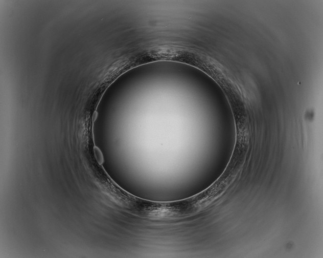 X0000098170460200804241159