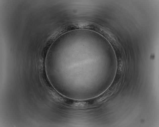 X0000098170461200804241159