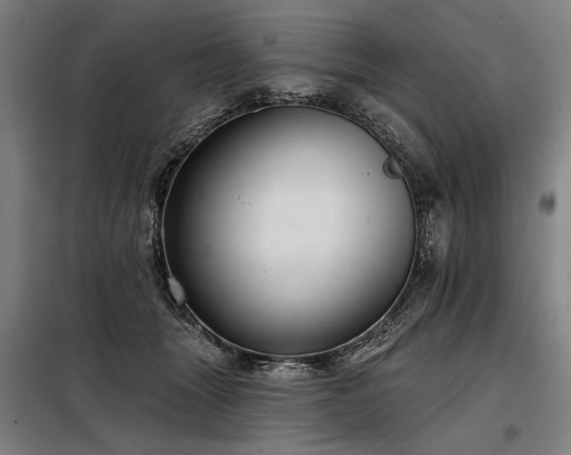 X0000098170463200804241159