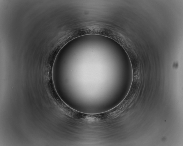 X0000098170464200804241159