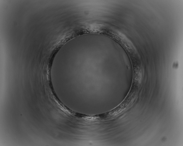 X0000098170465200804241159