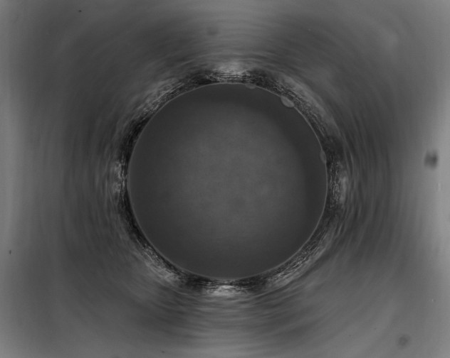 X0000098170467200804241200