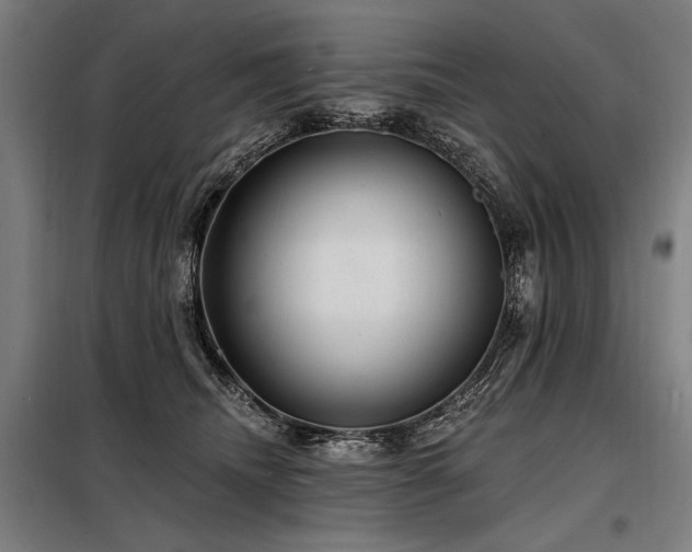 X0000098170468200804241200