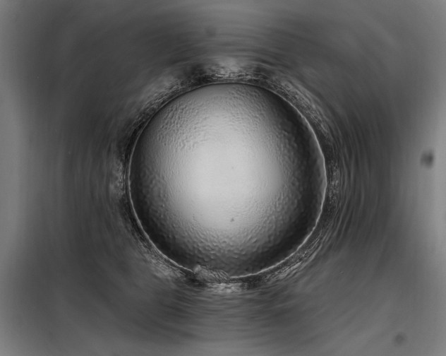 X0000098170469200804241200