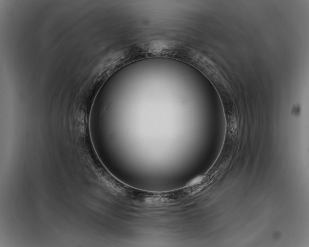 X0000098170470200804241200