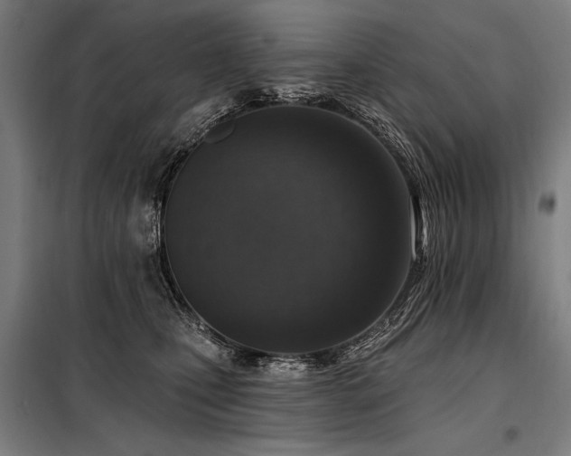 X0000098170471200804241200