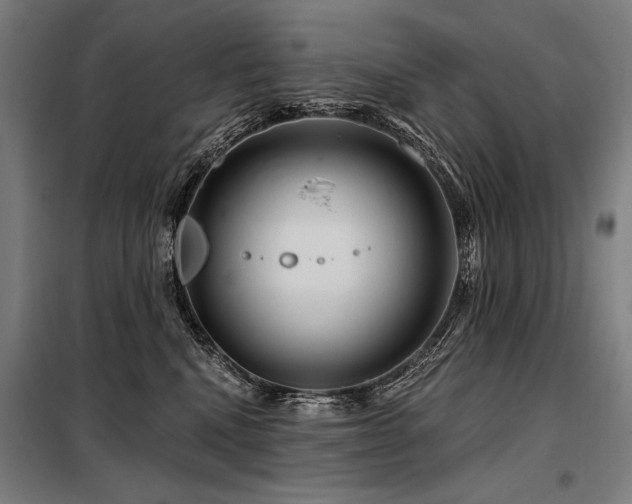 X0000098170472200804241200