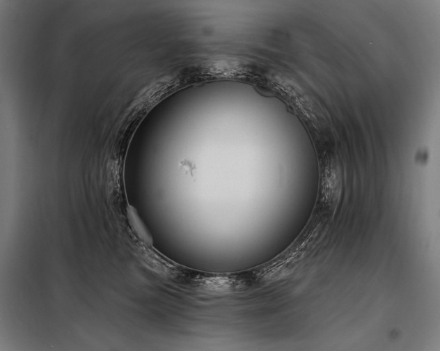 X0000098170473200804241200