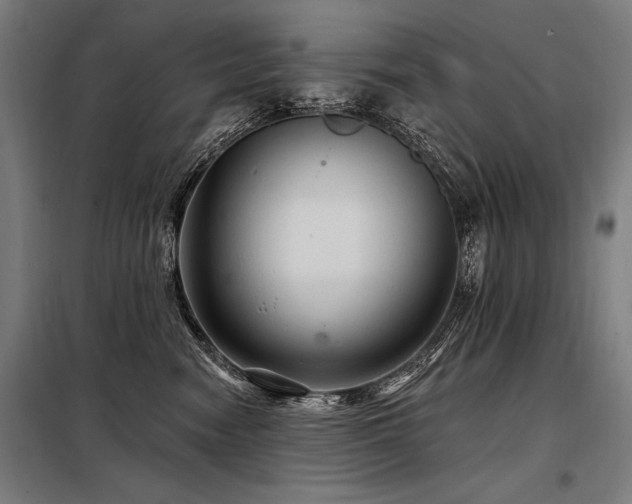 X0000098170474200804241200