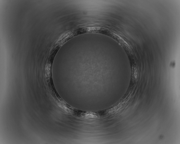 X0000098170475200804241200