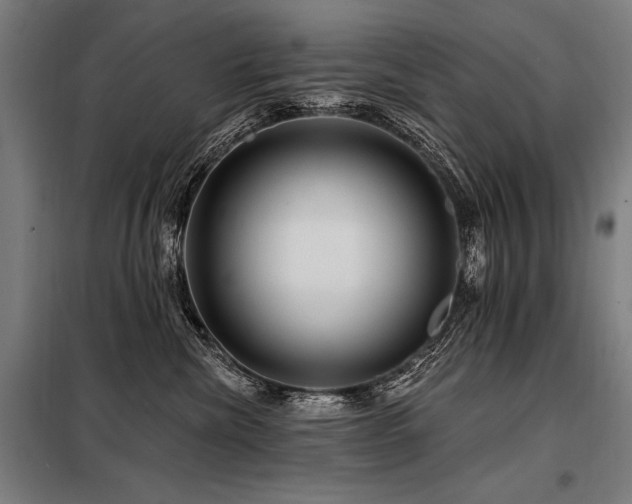 X0000098170476200804241200