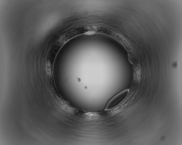 X0000098170477200804241200