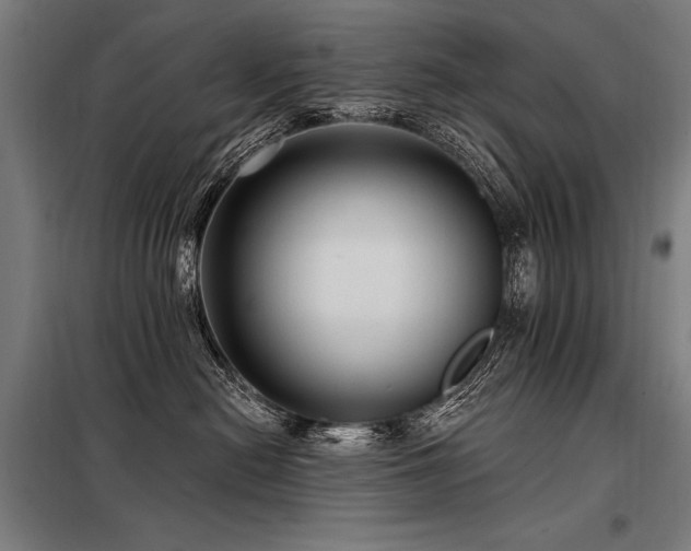 X0000098170478200804241200