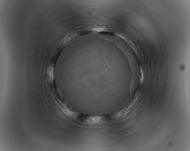 X0000098170479200804241200