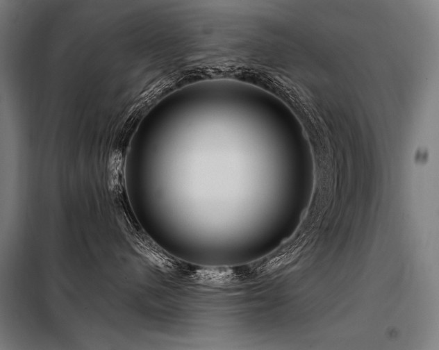 X0000098170480200804241200