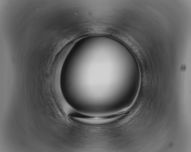 X0000098170481200804241159