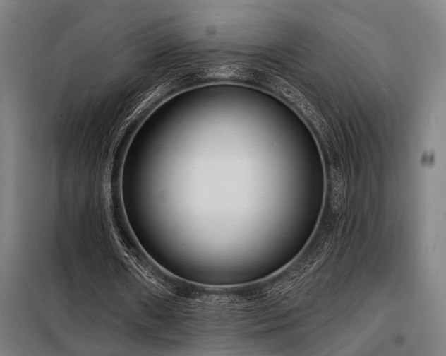 X0000098170482200804241159