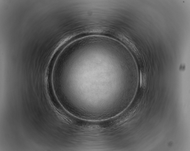 X0000098170483200804241159