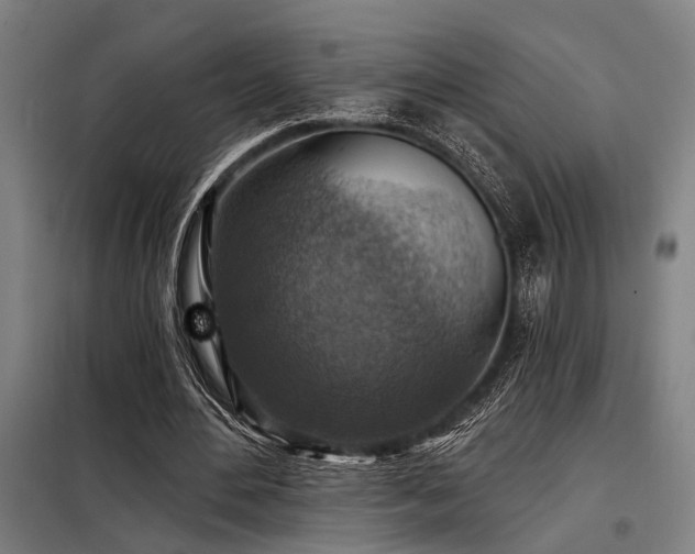 X0000098170484200804241159