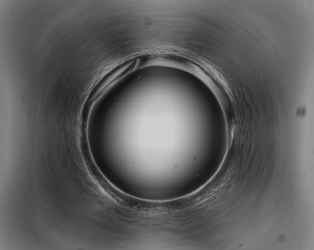 X0000098170485200804241159