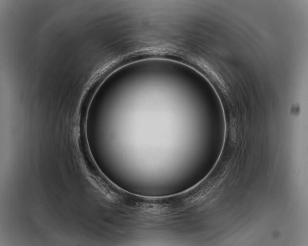 X0000098170486200804241159