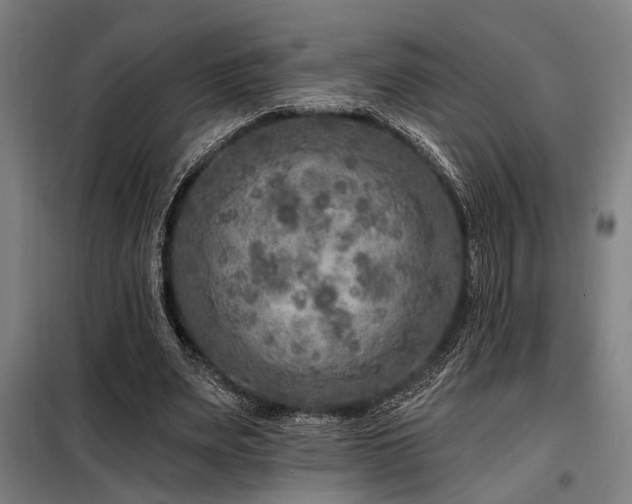 X0000098170487200804241159