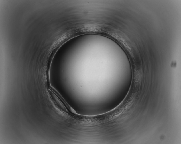 X0000098170489200804241159