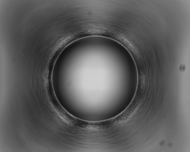 X0000098170490200804241159