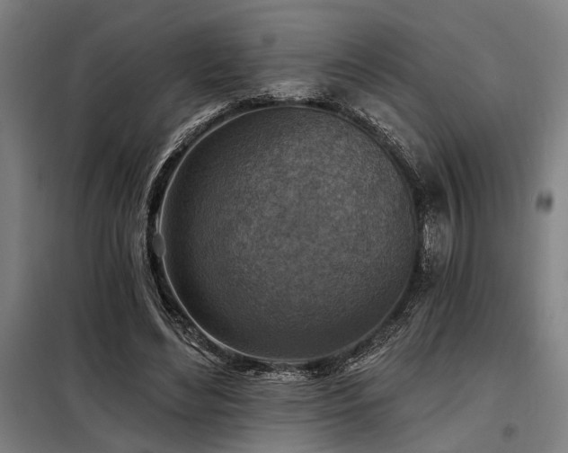 X0000098170492200804241159