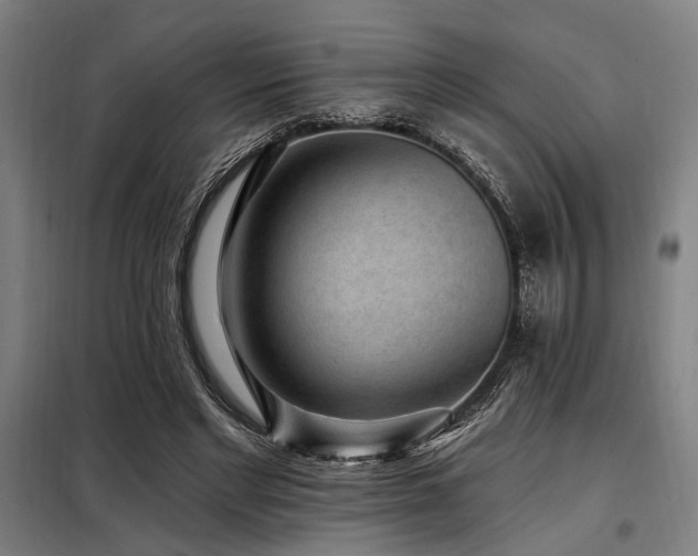 X0000098170493200804241159