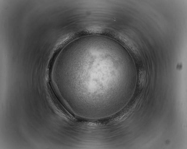 X0000098170494200804241159