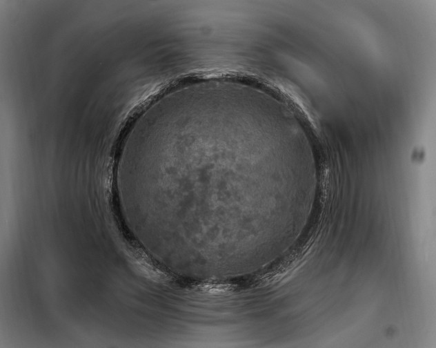 X0000098170495200804241159