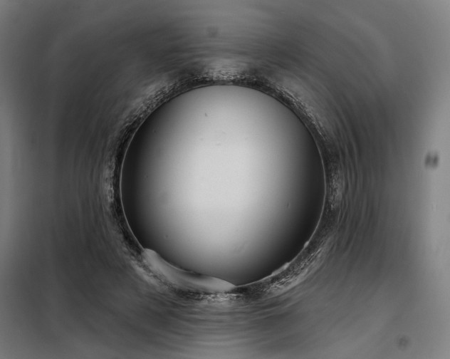 X0000098170497200804241159