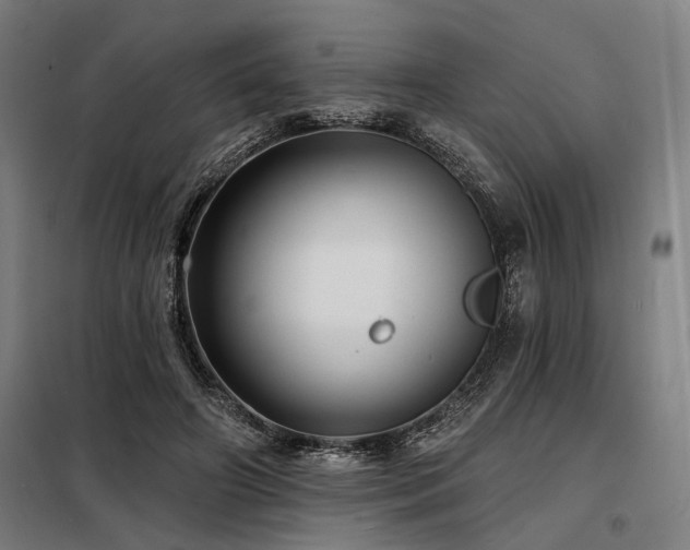 X0000098170498200804241159