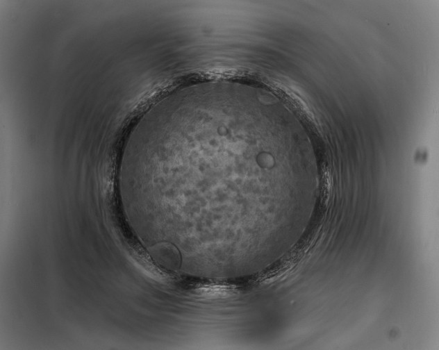 X0000098170499200804241159