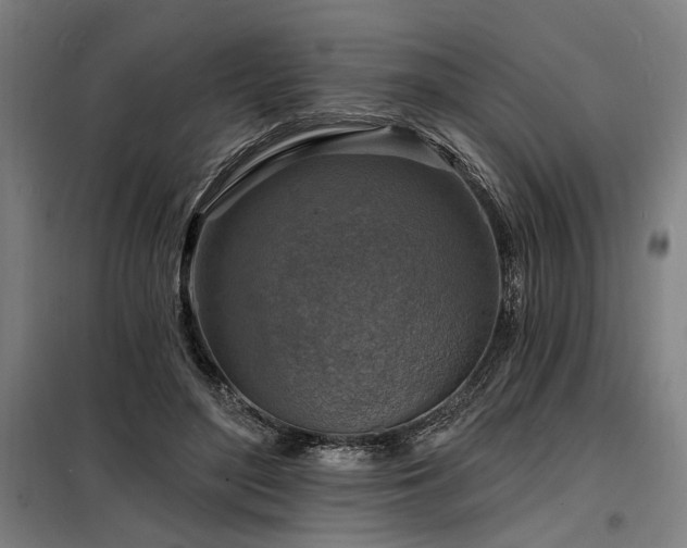 X0000098170500200804241159